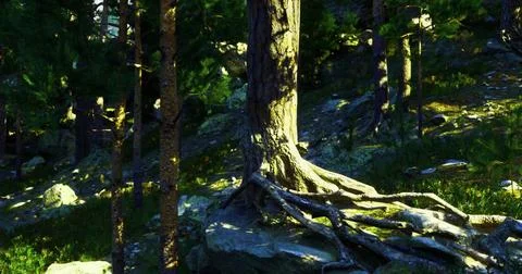 Vibrant forest landscape showcasing trees and roots in sunlight Stock Illustration
