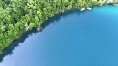 Vibrant Forest - Syracuse, NY Video stock 336290773