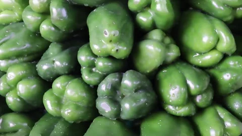 Vibrant fresh peppers with glossy texture Stock Footage 338167739