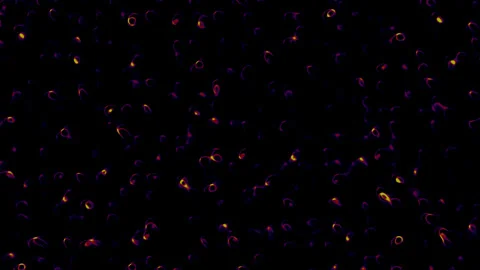 Vibrant Glowing Cellular Patterns in Motion Stock Footage 291073776