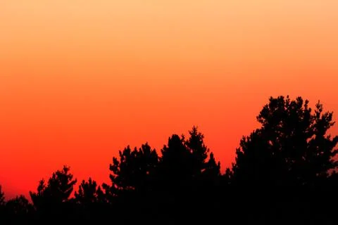 Vibrant glowing sunset backdrop Stock Photos
