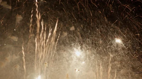 Vibrant Golden Firework Display in Dark Sky Stock Footage 341061099