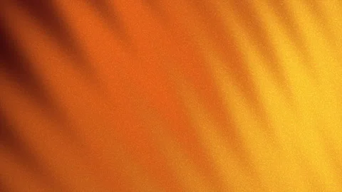 Vibrant golden sunset texture with subtle leaf shadows creating a warm Stock Footage 318428874