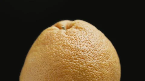Vibrant grapefruit shines in spotlight with its unique texture and colors Vidéo 329436768