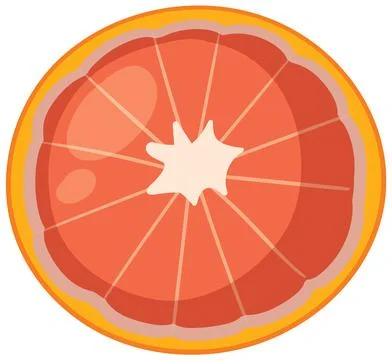 Vibrant Grapefruit Slice Illustration Illustrazione stock