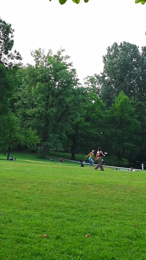 Vibrant grass covers the park Stock Footage 345538885