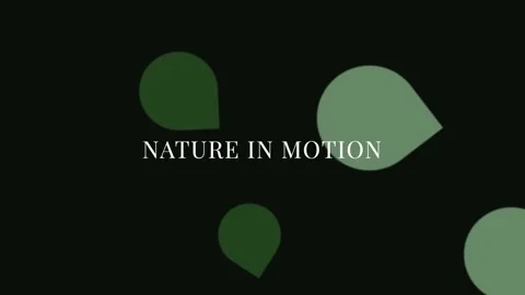 Vibrant green abstract pattern, elegant leaf and organic natural design bac.. Video stock 337655660