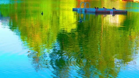 Vibrant green abstract tree reflection on calm lake water with ducks, meditation Stock Footage 335564979