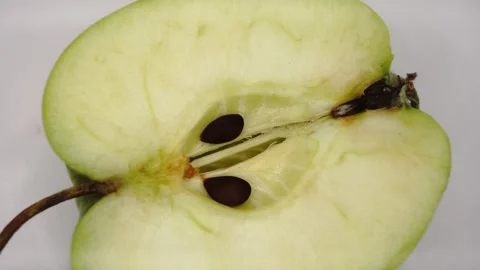 A vibrant green apple slice rotates on a platform Stock Footage 292166353