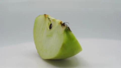 A vibrant green apple slice rotates on a platform Stock Footage 292225266