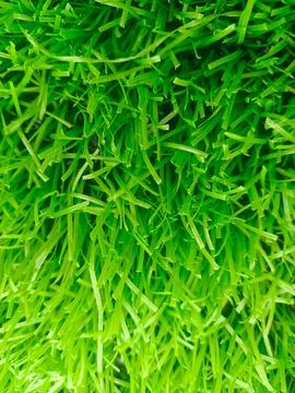 The Vibrant Green of Artificial Grass 스톡 사진
