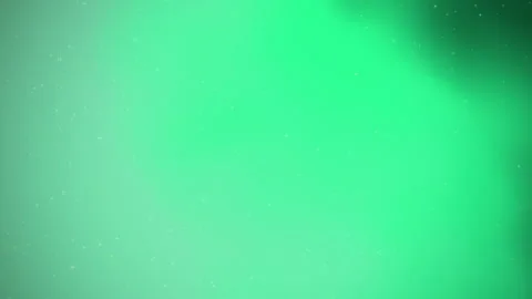 Vibrant green aurora borealis background with twinkling stars creates a magical Stock Footage 346809619