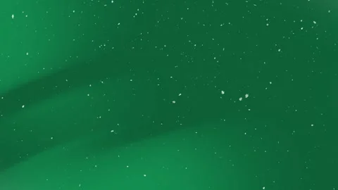 Vibrant green backdrop with scattered white particles creating an abstract .. Vidéo 335027796