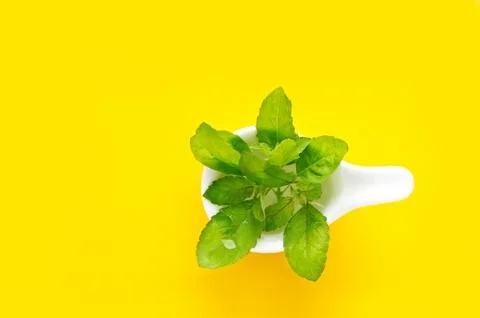 Vibrant green basil on white modern spoon and yellow  background Foto stock