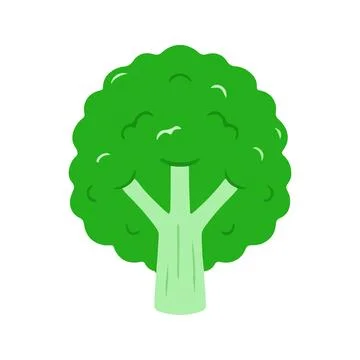 Vibrant Green Broccoli Head with Stem Stock Illustration