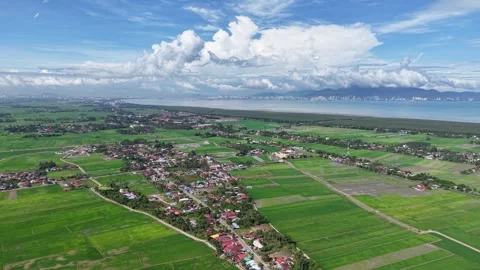 Vibrant green fields stretch below a bright blue sky Stock Footage 338990878
