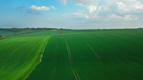 Vibrant green fields stretch under a bright blue sky Vídeos de archivo 346852950