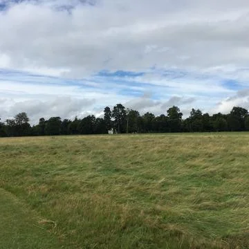 Vibrant Green Fields Under a Cloudy Sky in a Serene Countryside Landscape Stock Photos