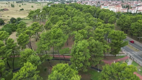A vibrant green forest seamlessly adjacent to an expansive cityscape. Stock Footage 294995746