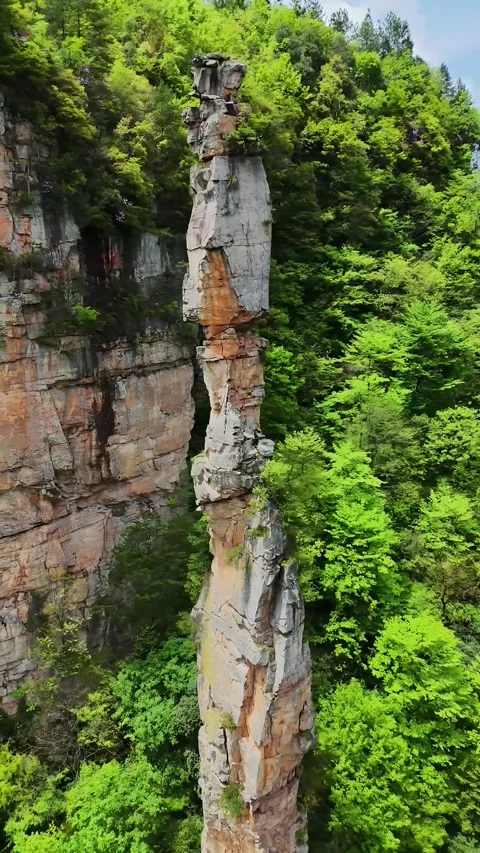 Vibrant Green Forests Clinging to Towering Rock Pillars Zhangjiajie Hunan China Stock Footage 345728298