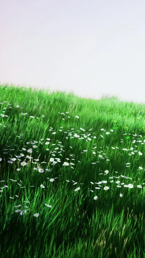 Vibrant green grass dances under a soft sky with delicate white flowers Video stock 334205171