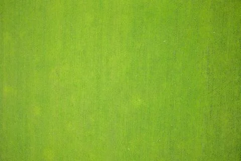 Vibrant green grass texture and seamless agricultural field pattern minimalist Stock Photos