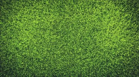 Vibrant green grass texture Stock Photos