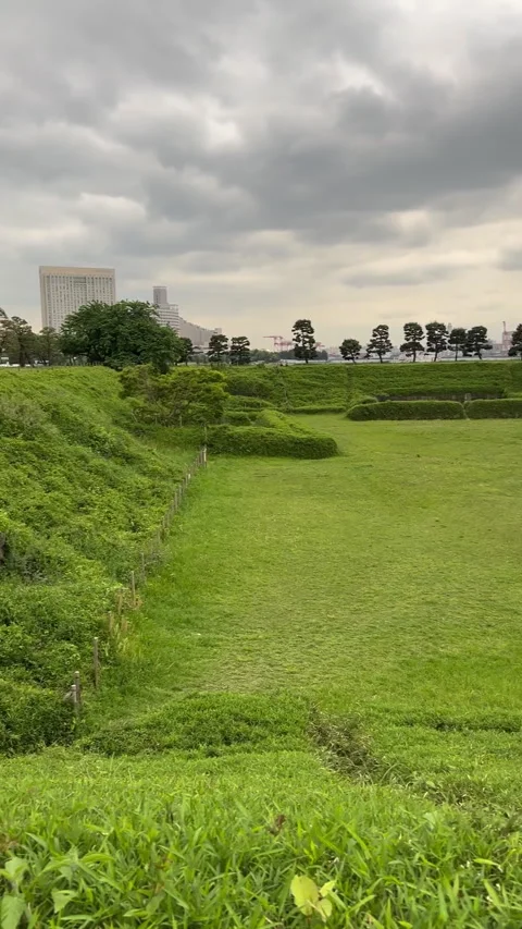 A vibrant green hillside presenting a stunning view of the urban cityscape Stock Footage 314113746
