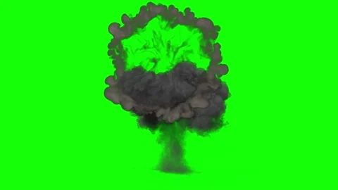 Vibrant Green Hydrangea Bouquet in White Vase on Bright Background Close Up Stock Footage 339128140