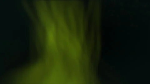 Vibrant green leaf illuminated by side light on dark background Vídeo Stock 289226123