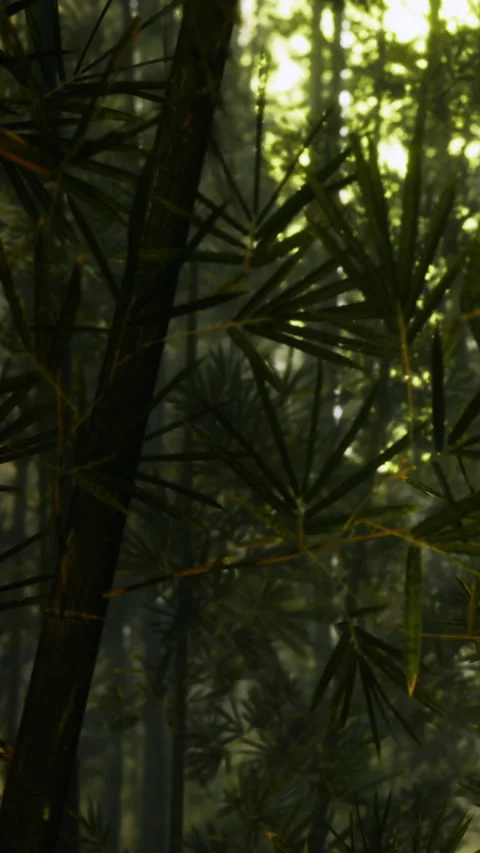Vibrant green leaf patterns shine through a lush forest canopy on a sunny day Stock Footage 335233492