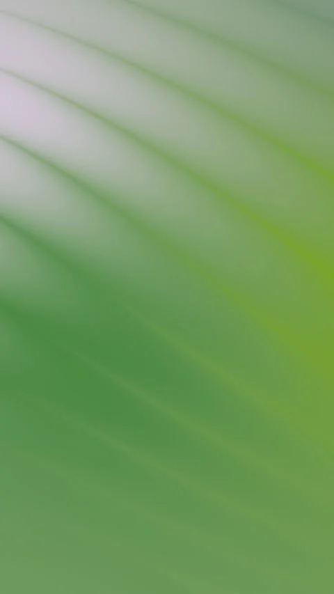 Vibrant Green Leaf Texture Background for Nature and Eco Themes Stock Footage 317864560