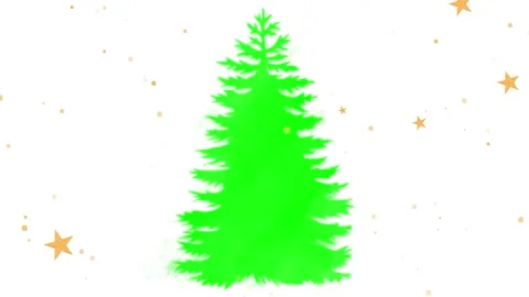 Vibrant green pine trees standing against a clean white backdrop with floating Stock-Footage 341322451
