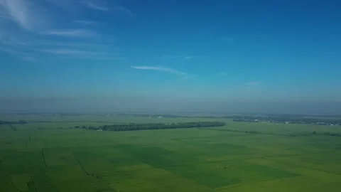 Vibrant Green Rice Fields in Lamongan Countryside June 5 2026 Stock Footage 336678854