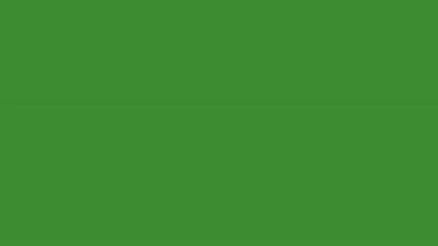 Vibrant green screen chroma key loop with heavy analog tracking glitch line.. Stock Footage 344891886