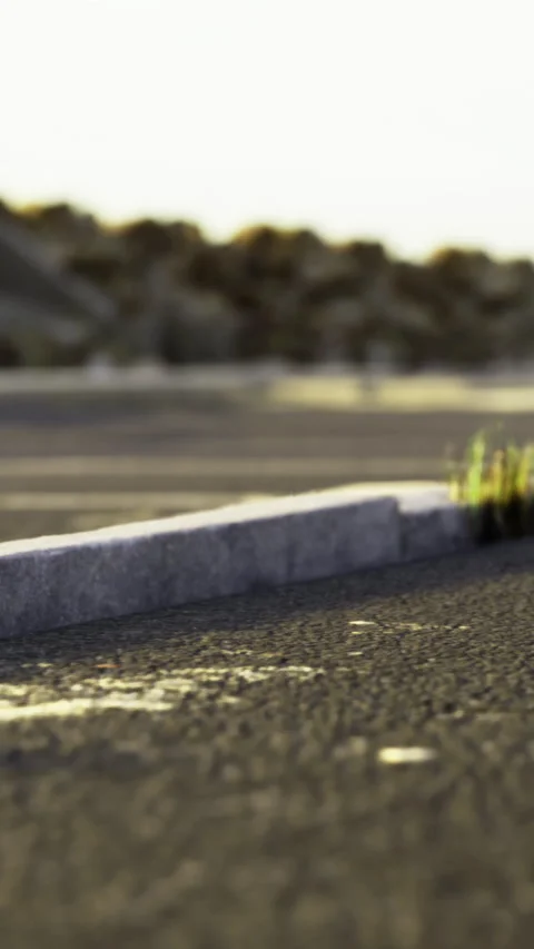 Vibrant green sprouts defy the gray asphalt in an empty parking lot at sunset Stock-Footage 334214342