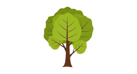 Vibrant green tree vector illustration with dense foliage and brown trunk i.. Stock Illustration