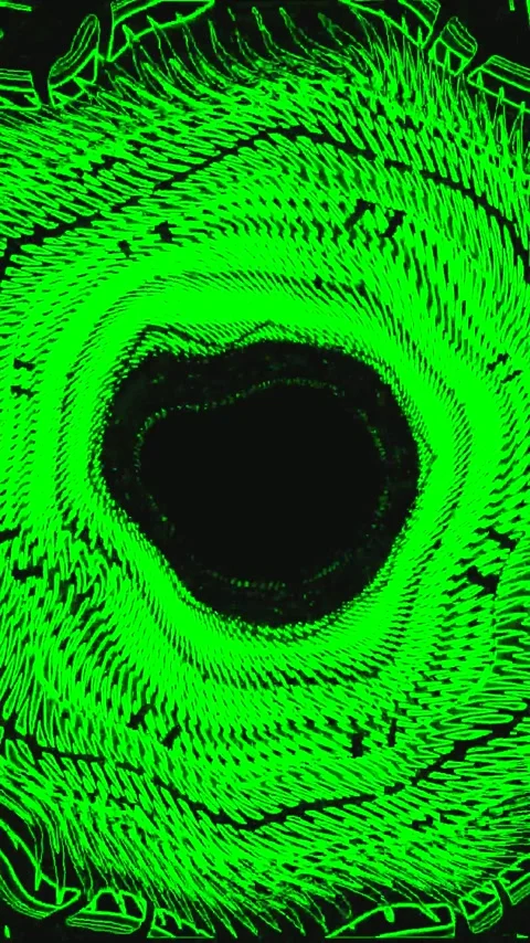 Vibrant green tunnel video loop creating a seamless visual experience for s.. Stock Footage 321263737