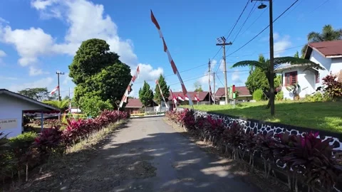 Vibrant greenery frames a quiet village road Stock Footage 345196568