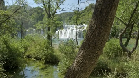 Vibrant greenery of state park, as cascading waterfall glistens in the sunlight Stock Footage 259075240