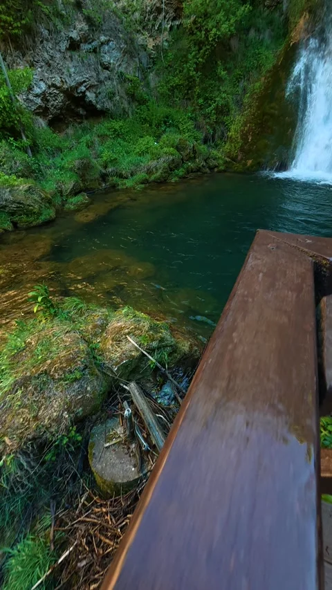 Vibrant greenery surrounds a clear, flowing stream. Veliki Buk, Serbia. Vertical Vídeos de archivo 336890605