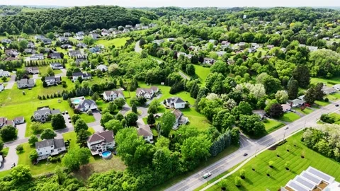 Vibrant Greenery - Syracuse, NY Stock Footage 336481739