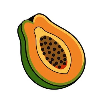 Vibrant half papaya fruit vector illustration for healthy lifestyle concept Illustrazione stock