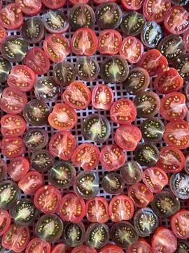 Vibrant Halved Cherry Tomatoes on a Drying Rack 스톡 사진