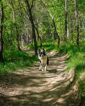 Vibrant Harmony Foto stock