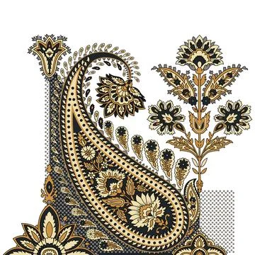 A vibrant highly detailed paisley pattern on a clean white background Stock Illustration