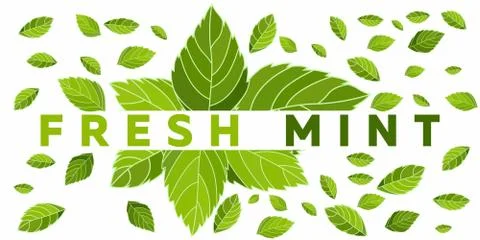 Vibrant illustration of fresh mint texture Stock Illustration