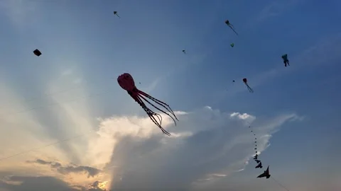 Vibrant Kites Against Dramatic Sky Stock Footage 291393229