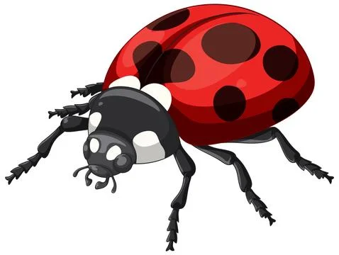 Vibrant Ladybug Vector Illustration with Bold Colors Stock Illustration