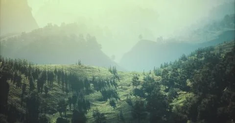 Vibrant landscape featuring rolling hills and misty mountains during sunrise Stock Illustration
